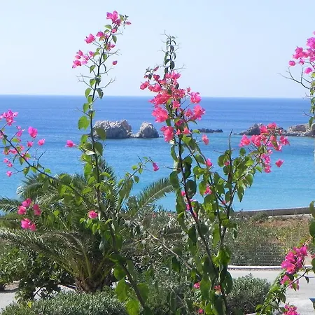 Ardani Bay