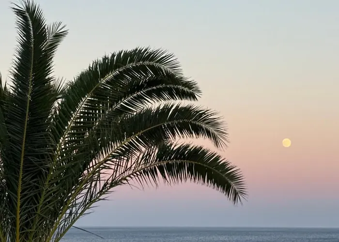 Ardani Bay アパート *